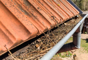 The image is of a dirty gutter on a residential home. The gutter is filled with debris such as leaves, twigs, and dirt. The debris is blocking the gutter causing it to sag. 